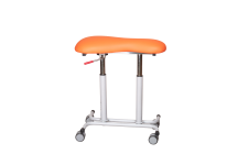 RADNA STOLICA – PRAXIS